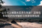 公交车上被蹭水后多久恢复？湿身危机背后的科学解析与快速自救指南