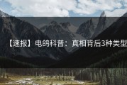 【速报】电鸽科普：真相背后3种类型