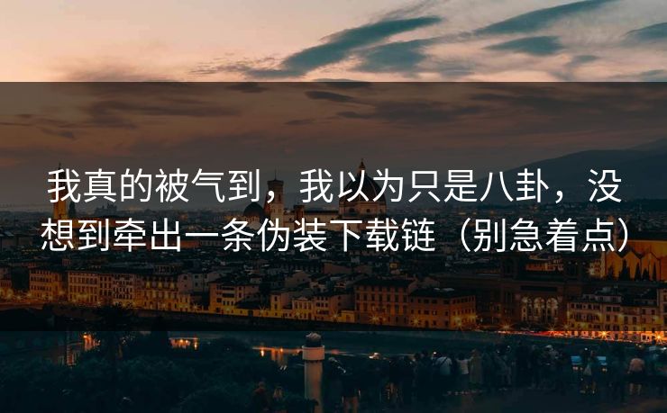 我真的被气到，我以为只是八卦，没想到牵出一条伪装下载链（别急着点）
