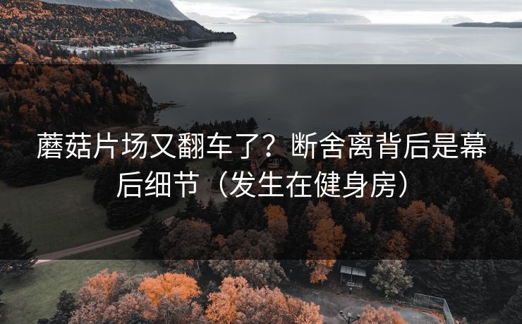 蘑菇片场又翻车了?断舍离背后是幕后细节(发生在健身房) 蘑菇片场又翻车了?断舍离背后是幕后细节(发生在健身房)