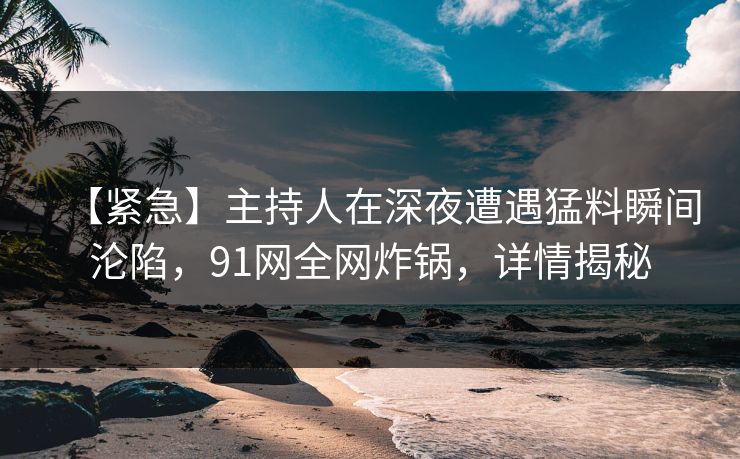 【紧急】主持人在深夜遭遇猛料瞬间沦陷，91网全网炸锅，详情揭秘