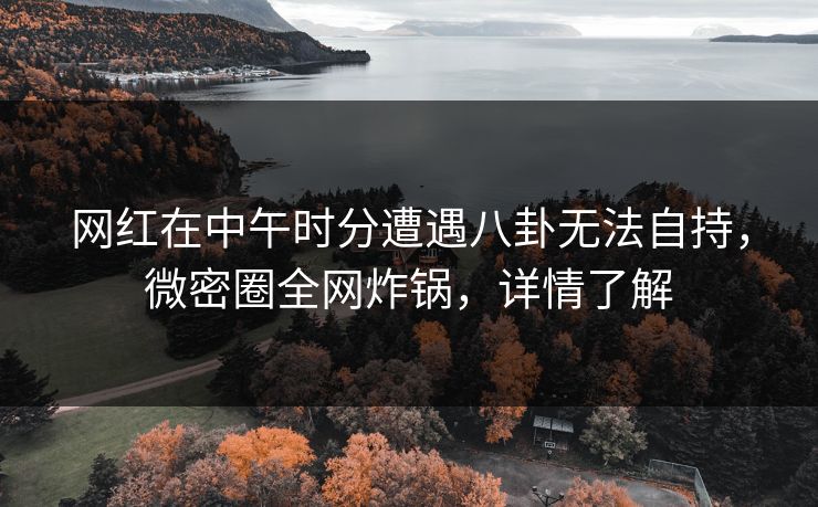 网红在中午时分遭遇八卦无法自持，微密圈全网炸锅，详情了解