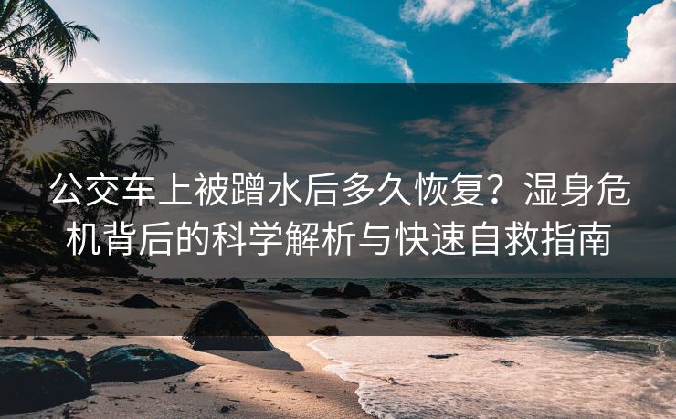 公交车上被蹭水后多久恢复？湿身危机背后的科学解析与快速自救指南