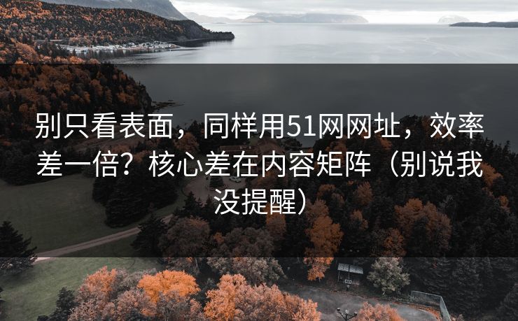 别只看表面，同样用51网网址，效率差一倍？核心差在内容矩阵（别说我没提醒）