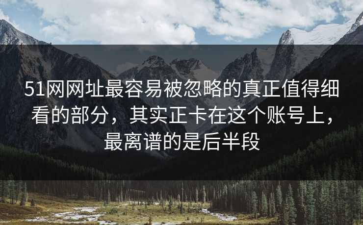 51网网址最容易被忽略的真正值得细看的部分，其实正卡在这个账号上，最离谱的是后半段